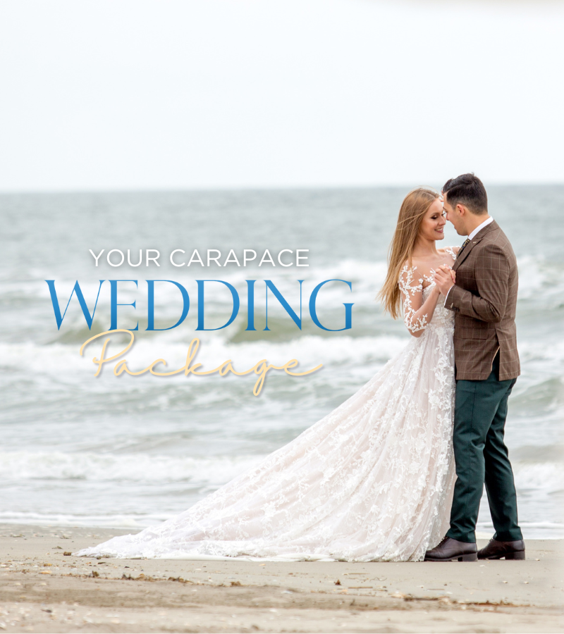 Your Carapace Wedding